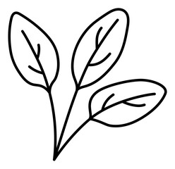 Spinach herbs. Vegetable sketch. Thin simple outline icon. Black contour line doodle hand drawn illustration