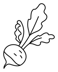 Radish. Vegetable sketch. Thin simple outline icon. Black contour line doodle hand drawn illustration