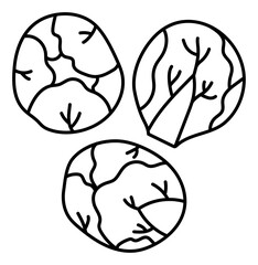 Brussels sprouts. Vegetable sketch. Thin simple outline icon. Black contour line doodle hand drawn illustration