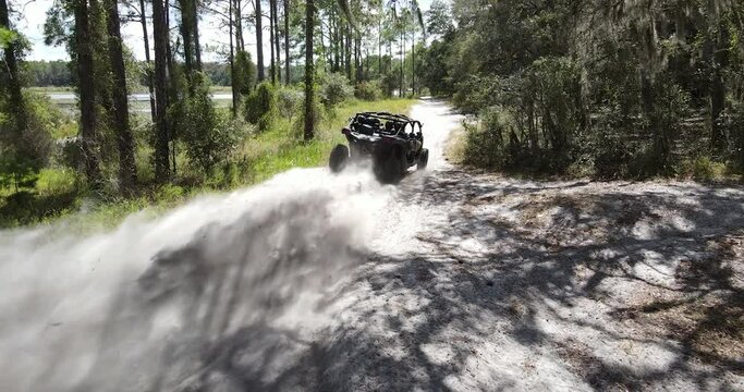 Speeding buggy on a dirt trail in a forest park