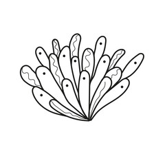 Hand drawn vector illustration of plant for aquarium.