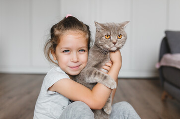 Pretty small girl with cat. Animal lover concept. Scottish tabby grey cat.