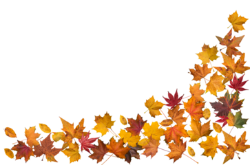 Autumn leaves border