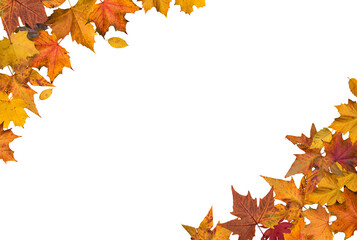 Autumn leaves border - 535465323