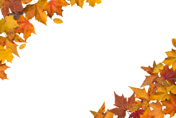 Autumn leaves border
