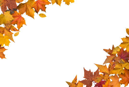 Autumn leaves border