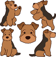 Simple and adorable Welsh Terrier illustrations