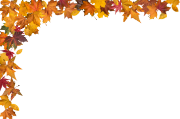 Autumn leaves border