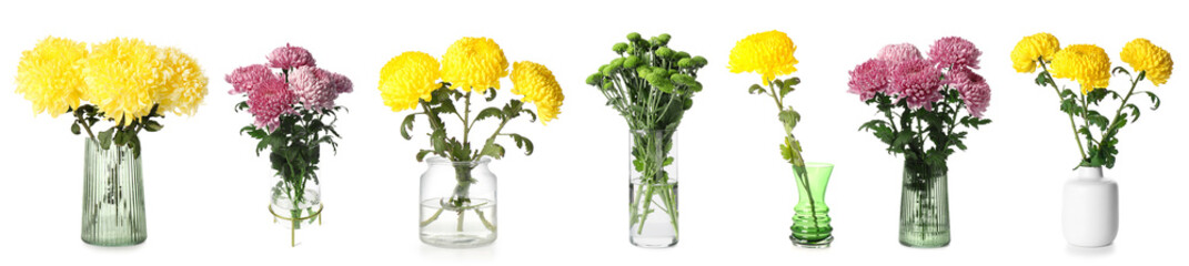 Set of vases with beautiful chrysanthemum flowers isolated on white