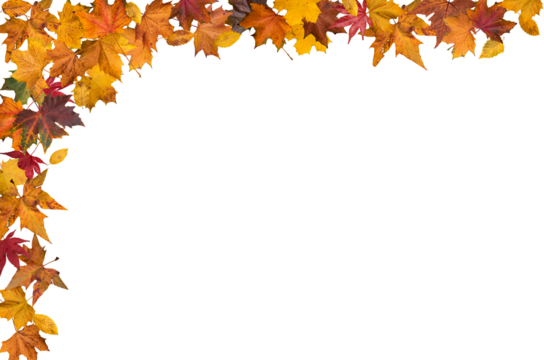 Autumn leaves border