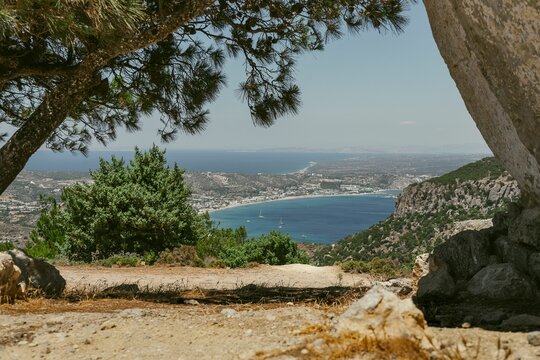 Nice view under trees