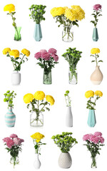 Set of vases with bouquets of beautiful chrysanthemum flowers isolated on white