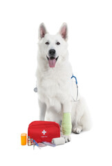 Cute Shepherd dog with first aid kit on white background
