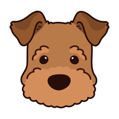 Simple and adorable Welsh Terrier illustration Front Face