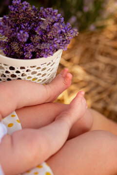 A mother holds her little daughter in her arms in a lavender field