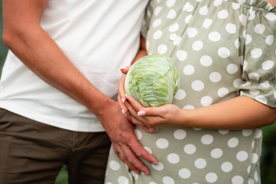 Expectant Parents Hold A Cabbage Near Their Stomach. They Say That Children Find Vegetables In It