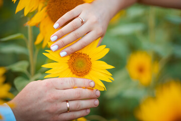 A couple shows off their gold wedding rings on a sunflower