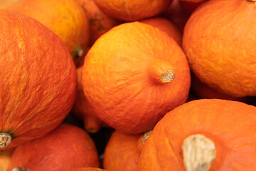 Pumpkin Texture Background, Squash Farm, Orange Autumn Pumpkins Harvest