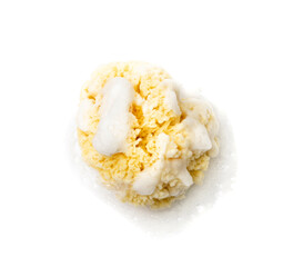 Natural Sponge Isolated
