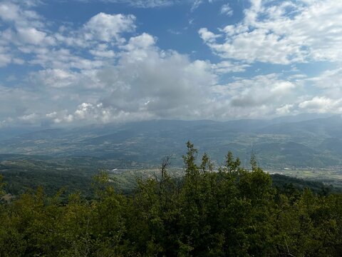 Scenic view of a forest and a cloudy sky