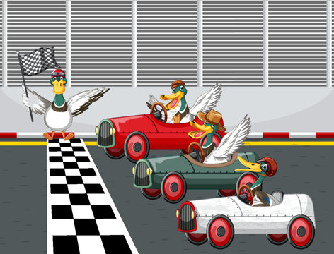 Soap box derby race with ducks cartoon character