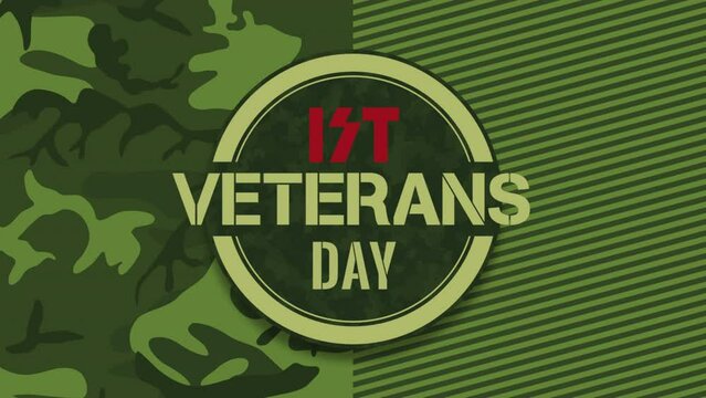 Veterans Day on green camouflage pattern, motion holidays, military and warfare style background