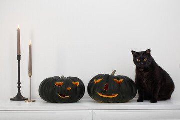 black halloween pumpkin and black cat  in white interior