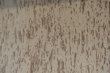 Relief of beige wall with stucco worm finish