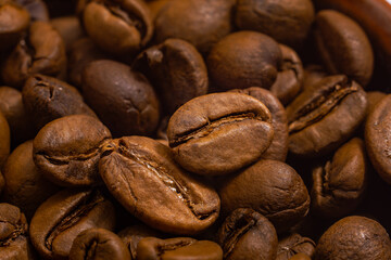 coffee beans isolated close up