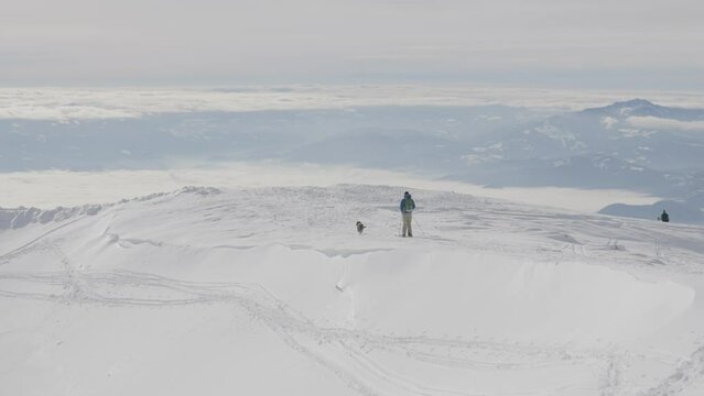 Beautiful shot of a man skiing with his dog on the snowy mountain on a sunny day