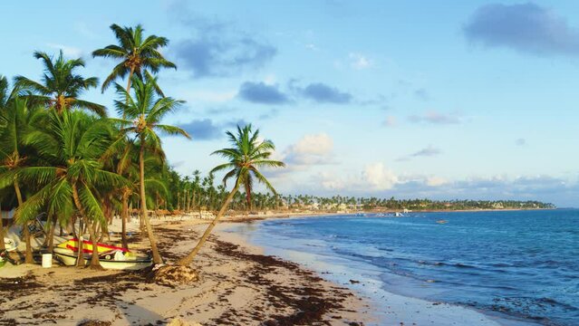 Blue sea waves on the palm beach beach. Bright green palm trees on yellow sand against a blue sky. Summer evening on the tropical sea coast. Travel to tropical paradise. Camera without movement.