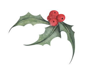 Holly plant. Red Berries and Green Leaves. Botanical Illustration of Holly. Watercolor illustration. Christmas and New Year symbol decorative elements.