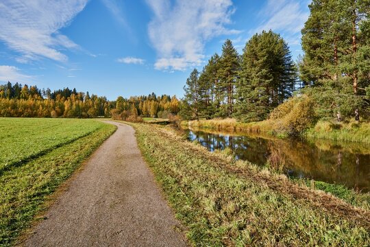 Empty sand road passing by a small river surrounded by green trees against a blue cloudy sky