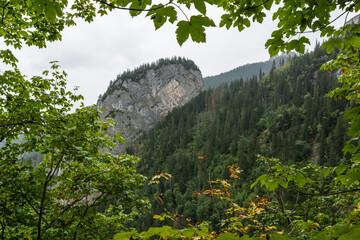 The vertical wall of the mountain peak in the forest floor as seen on a cloudy day. - 535495340