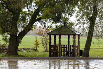 empty gazebo under a tree during the rain