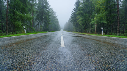 A foggy road through the forest. Fog and rain on the expressway.