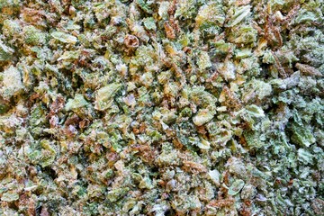 Closeup shot of ground cannabis with buds