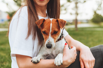 A woman holds and hugs her Jack Russell Terrier dog in the park. Loyal best friends since childhood. a woman feeds her dog from the palm of her hand .animal feed