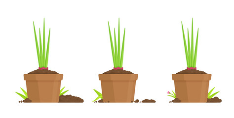 Vector illustration of planting seedlings in a vegetable garden.