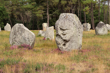 Alignment of Kerlescan, megalithic monuments in Carnac, Brittany, France