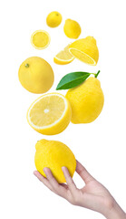 Hand hold lemon with lemons with leaf and cut half sliced levitate isolated on white background.