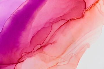 Abstract alcohol ink fluid art background. Purple and red color