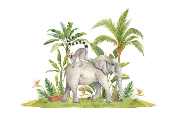 Composition of the safari wildlife. Illustration with an elephant and a lemur in the jungle. Watercolor animals and flora of the jungle on a white background.