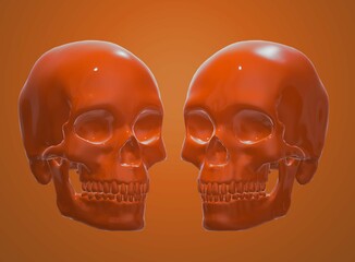 human skull, skeleton, bone, halloween