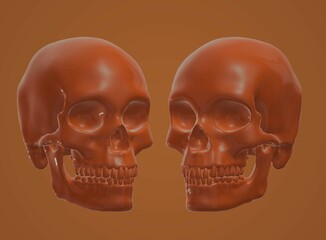 human skull, skeleton, bone, halloween