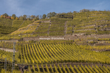 Fototapeta premium Famous German Wine Region Moselle River Lay and Guels village Autumn Fall colors