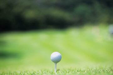 緑の芝生が綺麗なゴルフ場