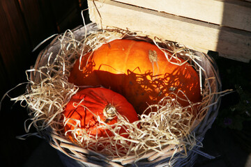 Fototapeta na wymiar Pumpkins in a basket on an autumn country market, Halloween. Selective focus
