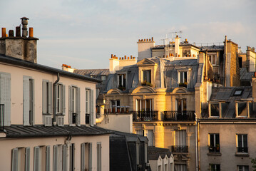 Paris, France. August 2022. The zinc roofs of Paris. - obrazy, fototapety, plakaty