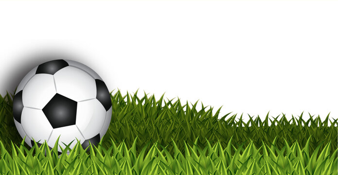 Soccer ball on green grass